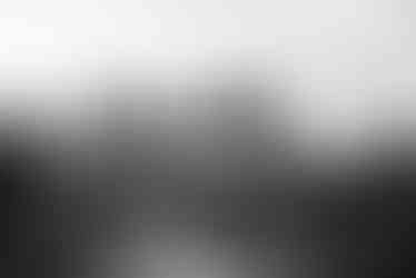 Photojournalism photo from the 2019 demonstration at Letna in Prague