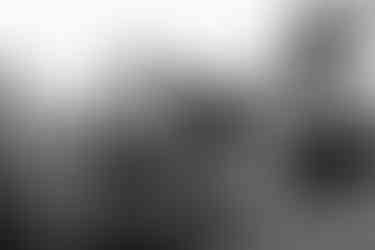 Photojournalism photo from the 2019 demonstration at Letna in Prague