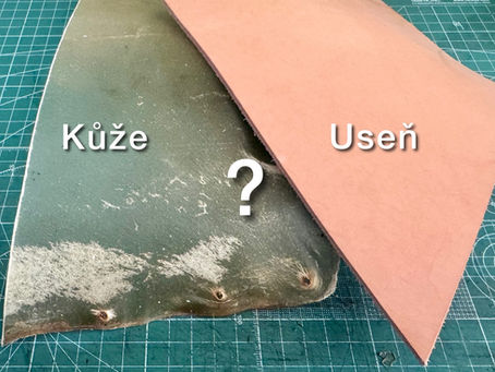 Kůže nebo useň?