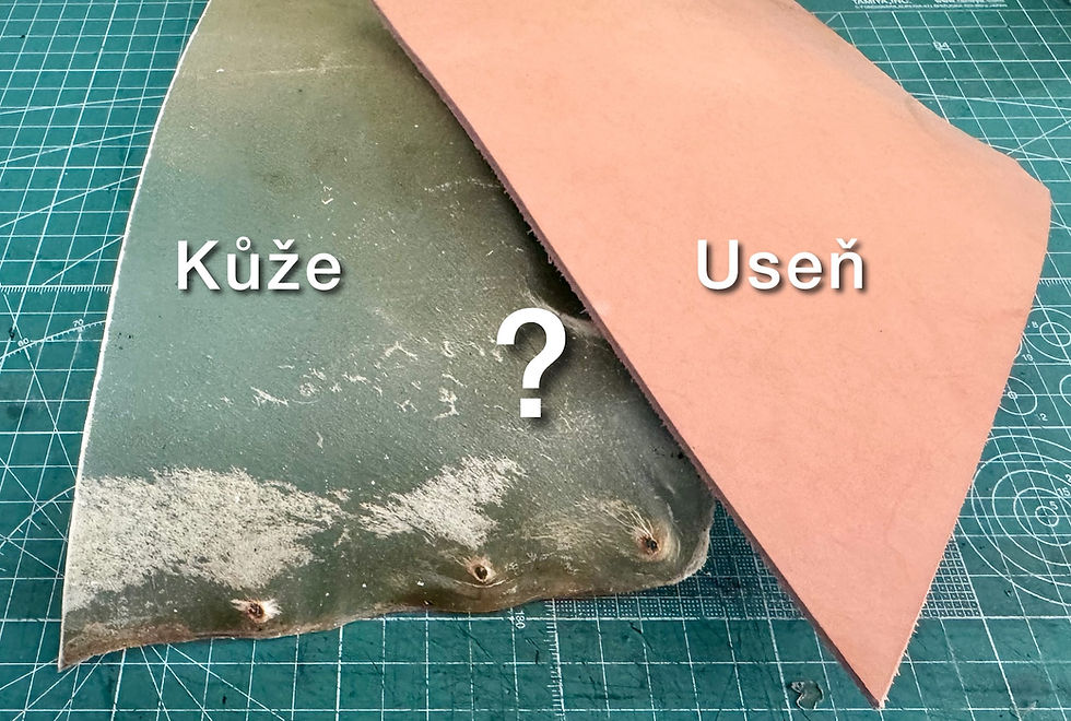 Kůže nebo useň?