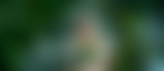 Depressed bride + meteor = DOOM