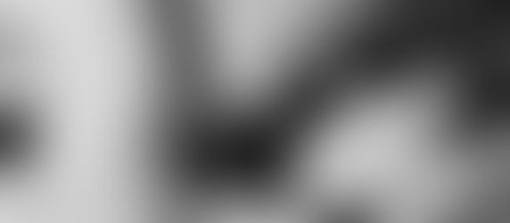 Fifty Shades of Grey sequels have a new director