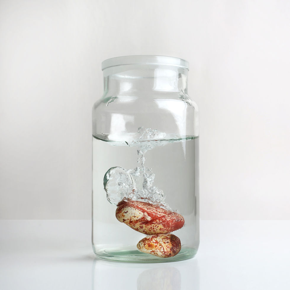 rocks in water