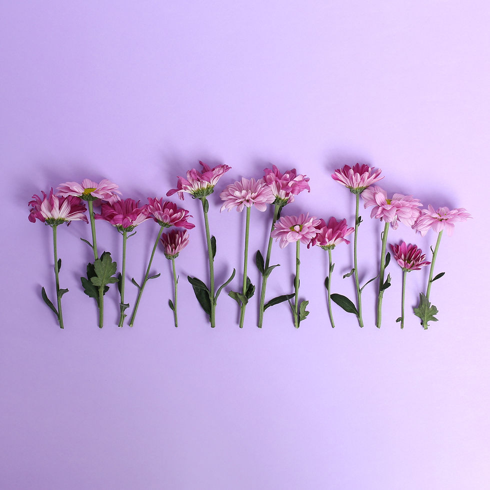 flowers purple