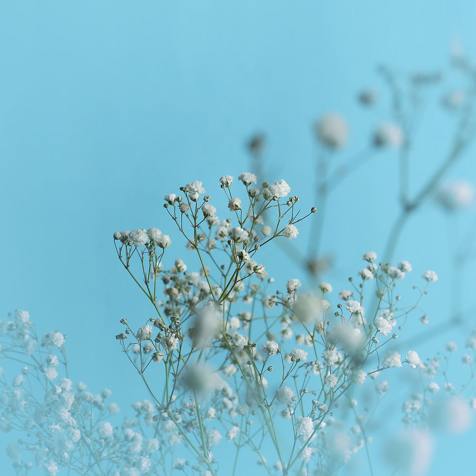white flowers