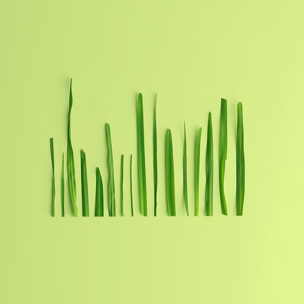 grass