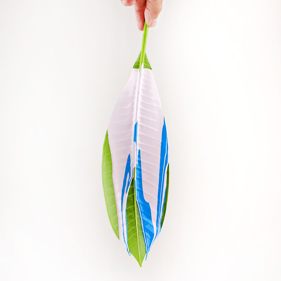 holding leaf