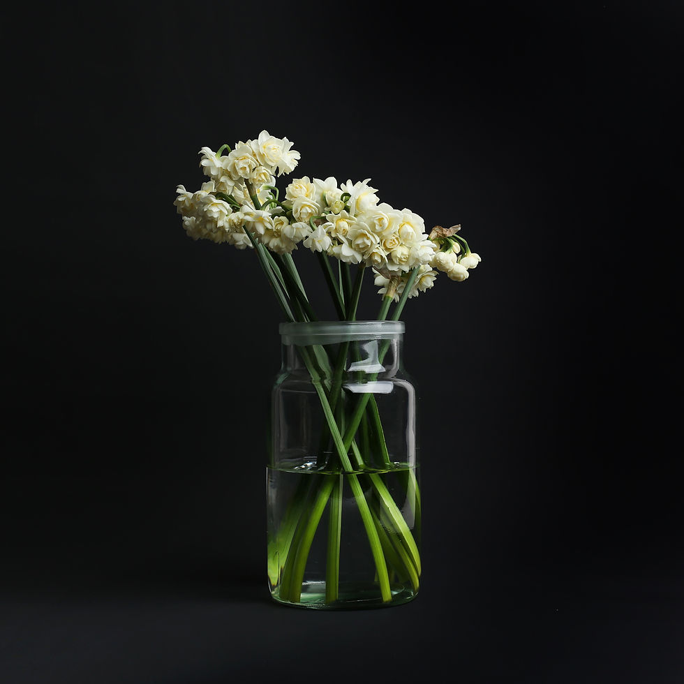 white flower bunch