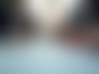 Why You Need a Business Setup Consultant in the US: A Business Consulting Services Guide