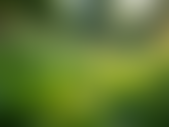 The Importance of Sustainable Living in Today's World