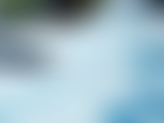 The Hidden Impact of Auditing on Business Longevity and Success