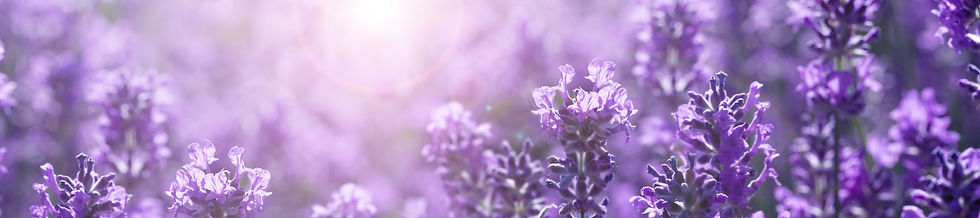 AdobeStock_209861997.jpeg