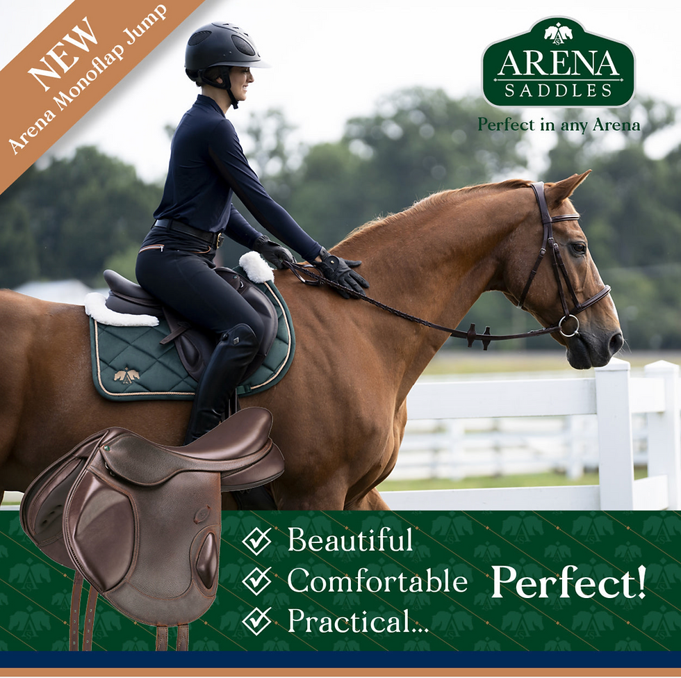 Thumbnail: Arena Monoflap Jump Saddle