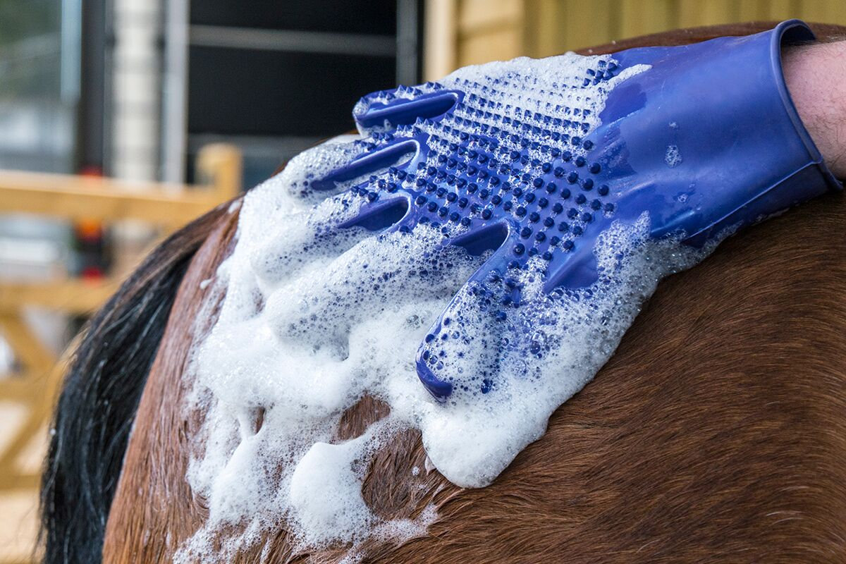 Hippo Wash Mitt | Hippo Showers