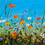 Thumbnail: Nature’s Chorus – Framed Wildflower Painting | Original Art 44 x 74 cm