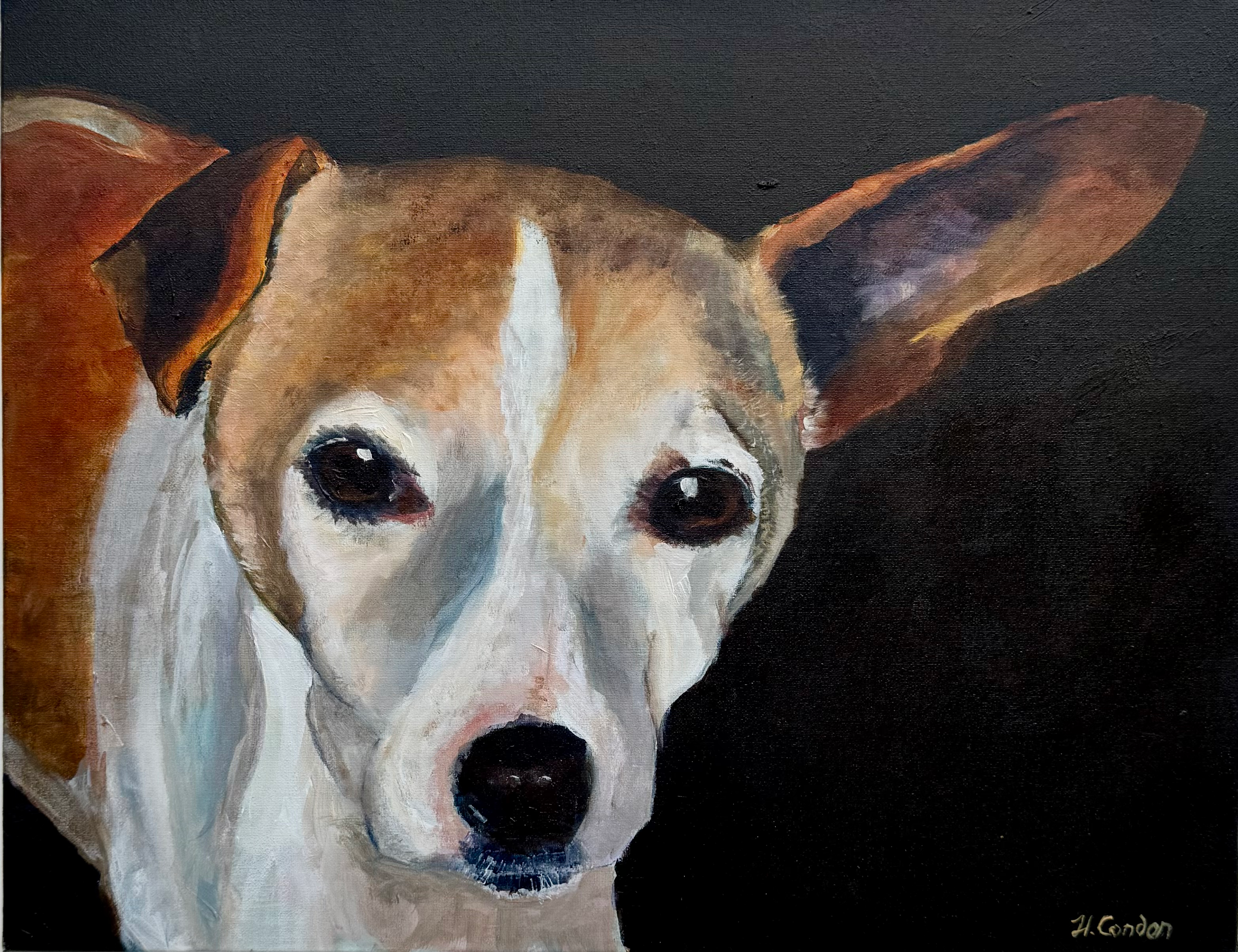 Custom Pet Portraits from your photos.