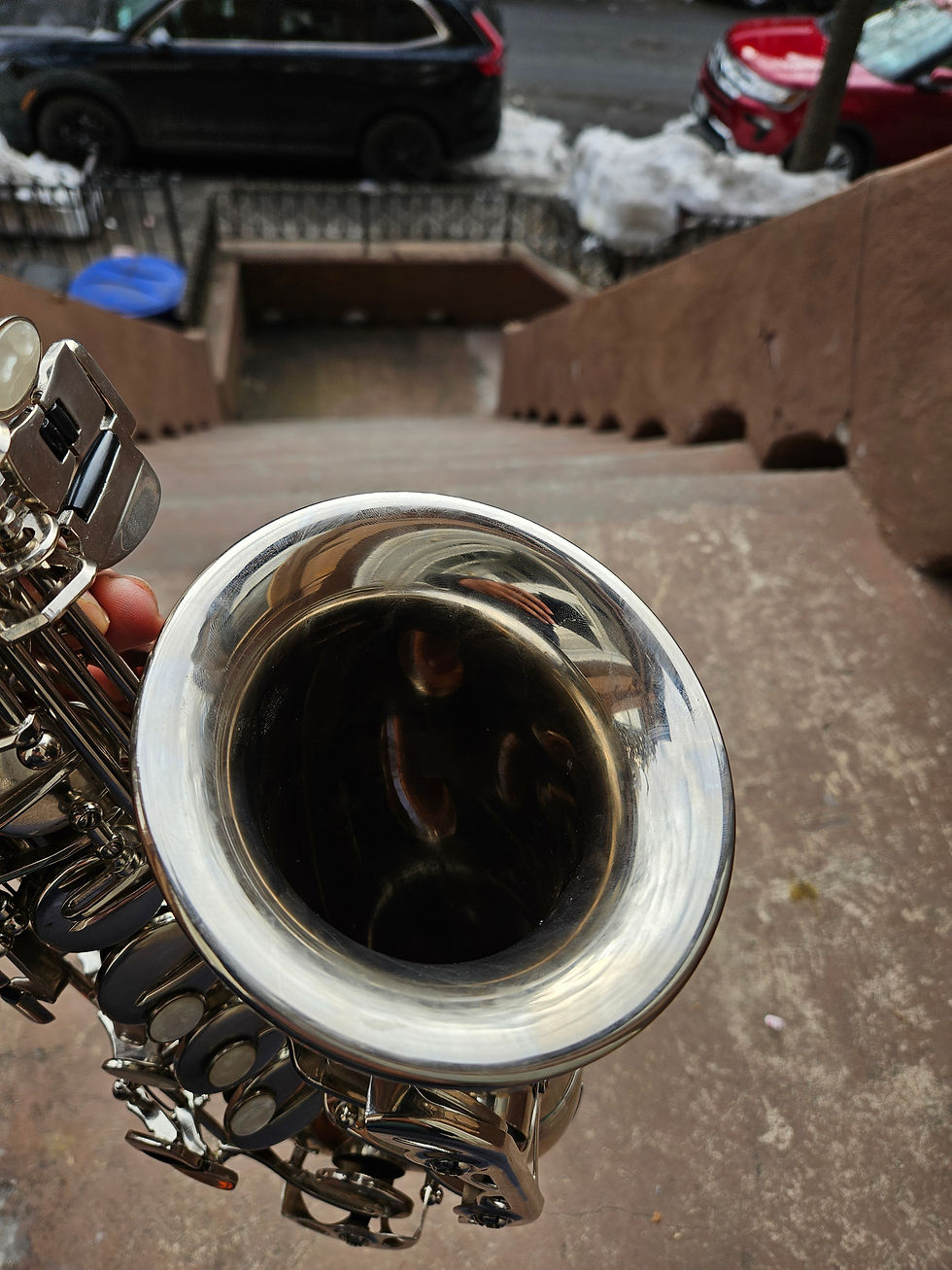 Thumbnail: Slade Silver Alto Saxophone (READY TO PLAY)