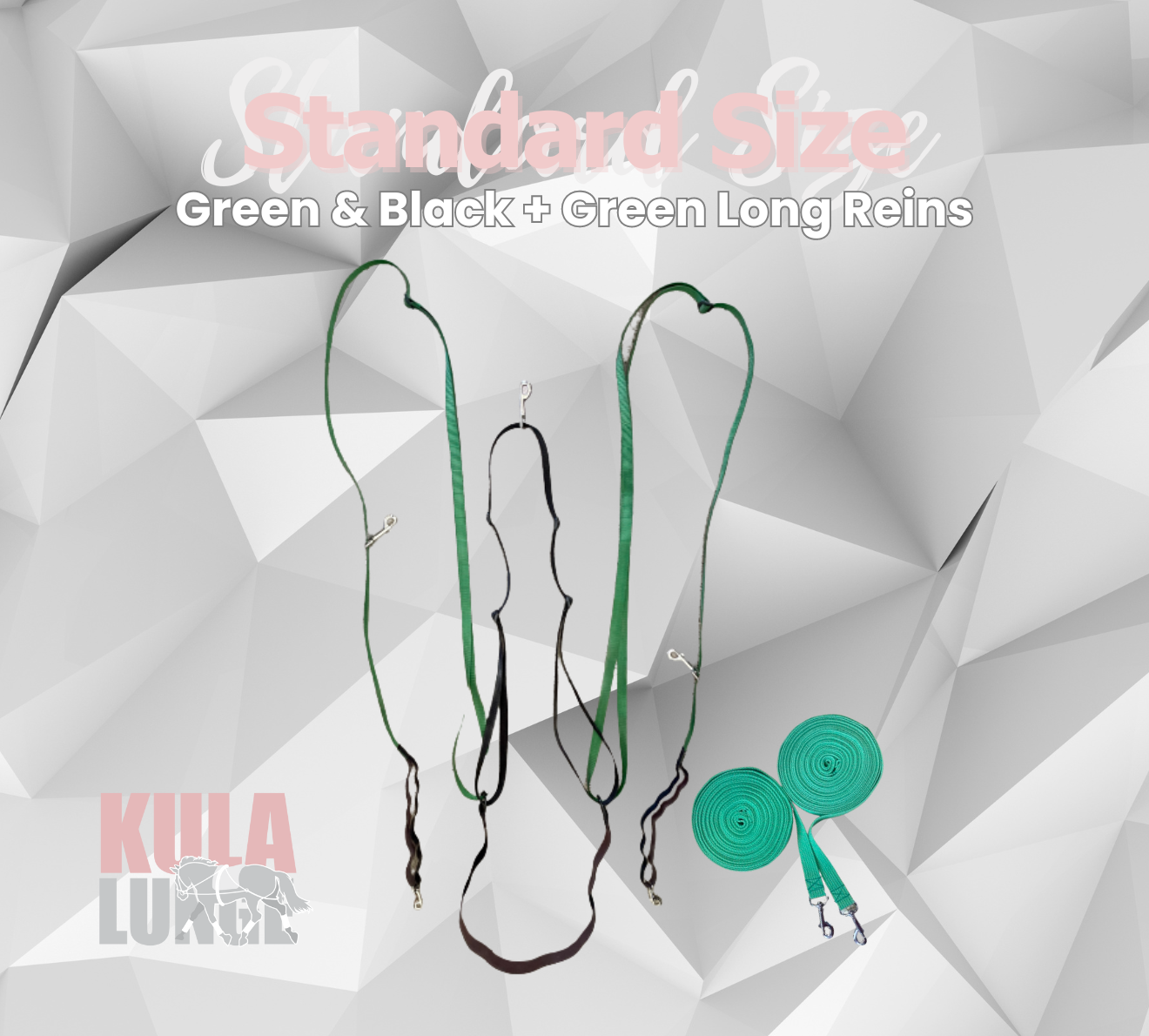 Kula Lunge Green Standard + Green Long Reins