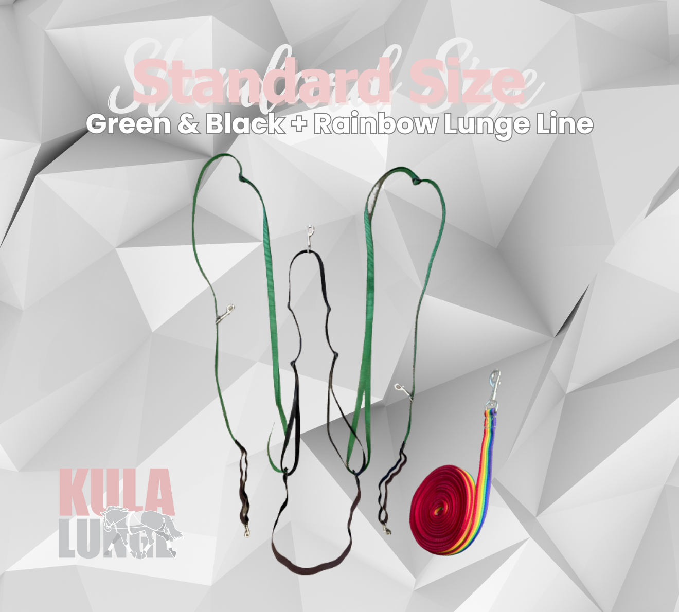 Kula Lunge Green Standard + Rainbow Lunge Line