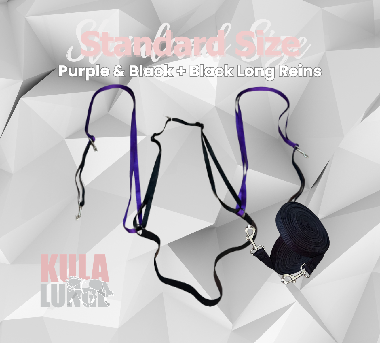 Kula Lunge Purple Standard + Black Long Reins