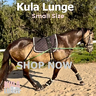 Horse Lunging