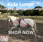 Horse lunging