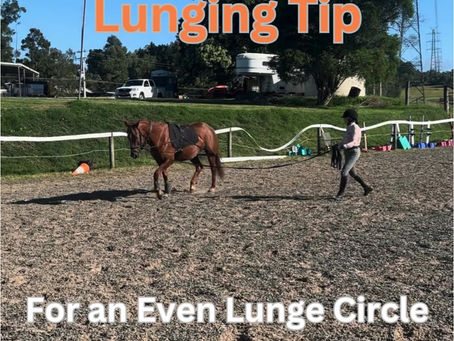 Lunge Tip - Even Circle