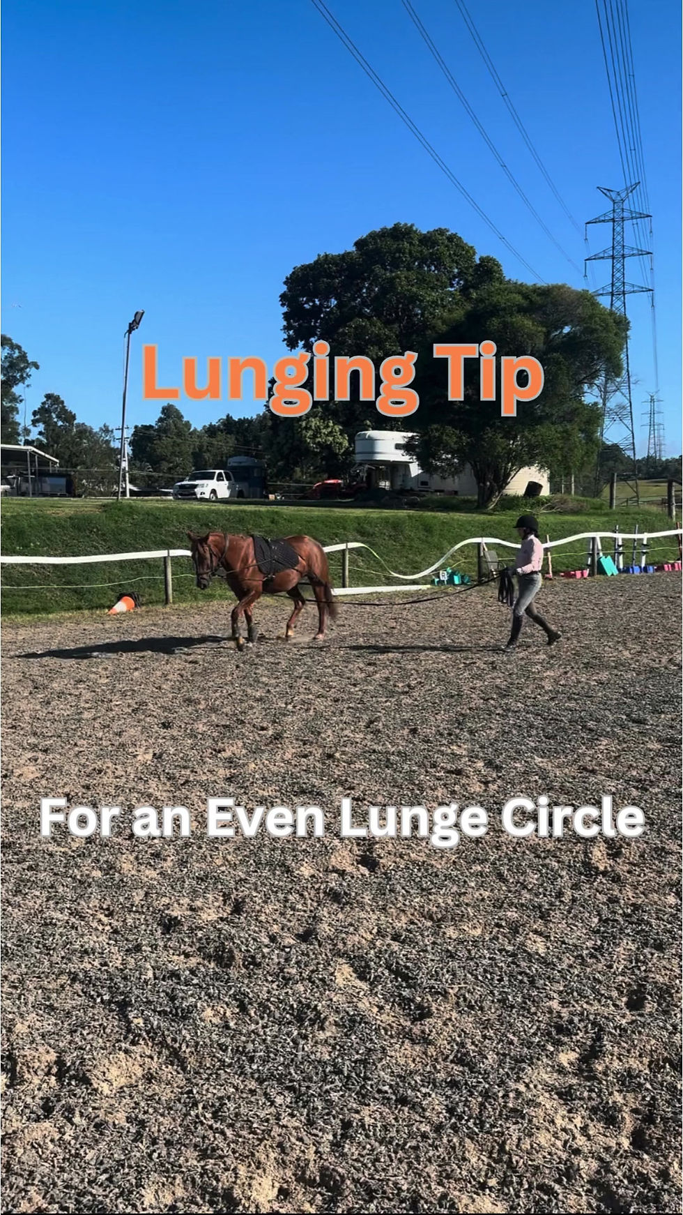 Lunge Tip - Even Circle