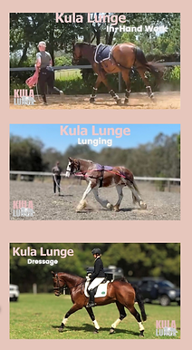 Kula Lunge Lessons Training Clinics for Website-4.png