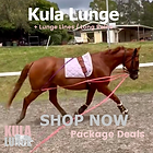 Lunge Horse