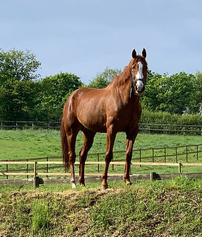 343988748_6541315785902876_1311631961090