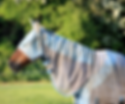 comment protéger cheval des mouches