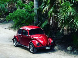 79521128-1baf-4df3-ae1f-dfecbe18d1de