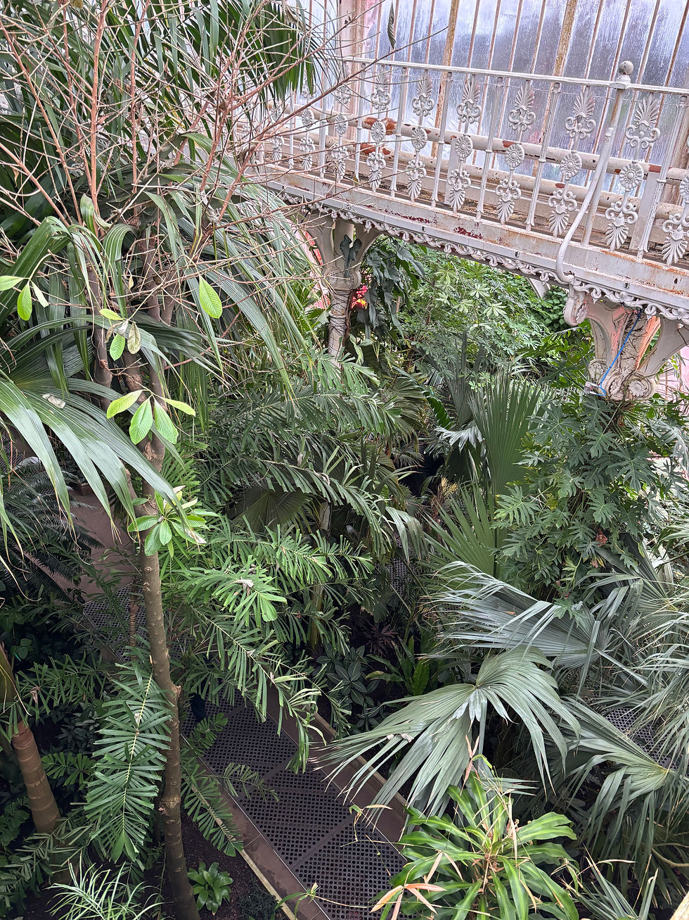 Inside the Palm House