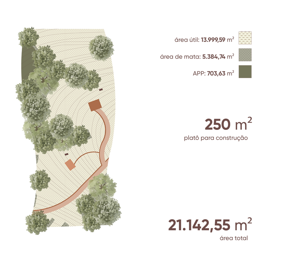 MAPA TERRENO2-03.png