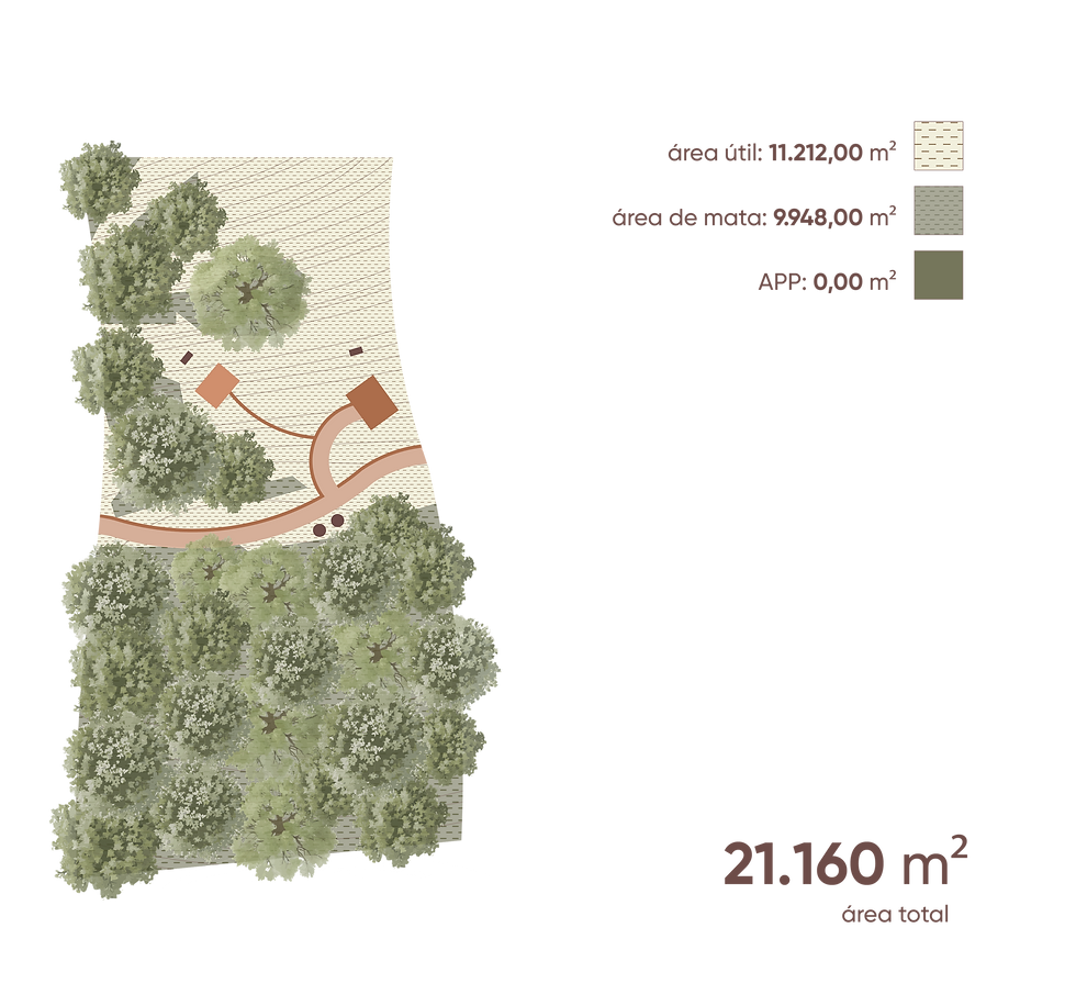 MAPA TERRENO-05.png
