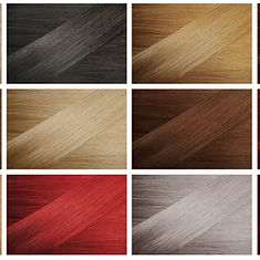 Hair Color Palette