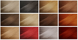 Hair Samples