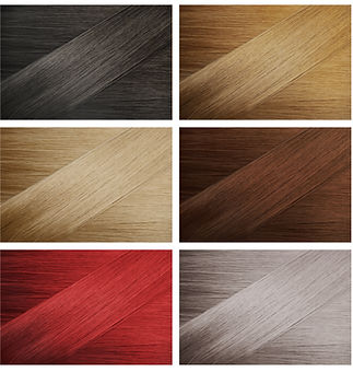 Hair Samples