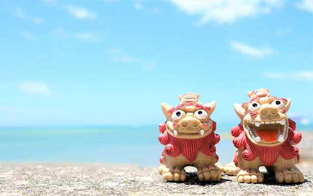 AdobeStock_276035245.jpeg
