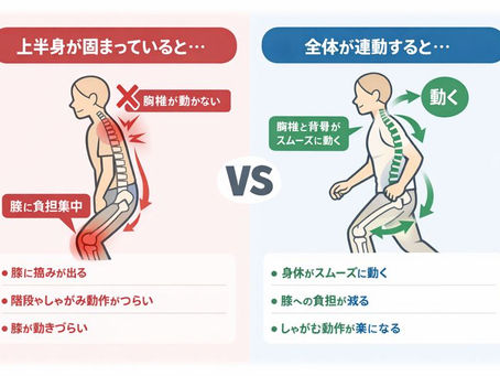 背骨が動かないと、身体はどこかで無理をします