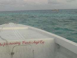 Your Guide To Snorkeling In Caye Caulker, Belize