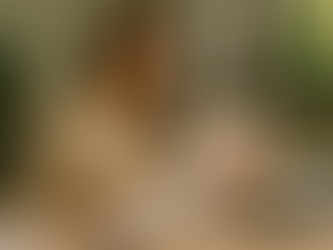 Servizi Contabili: La Guida Completa per le PMI