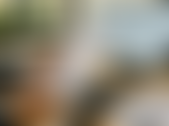 Whistleblowing e PMI: da obbligo a opportunità per la tua impresa