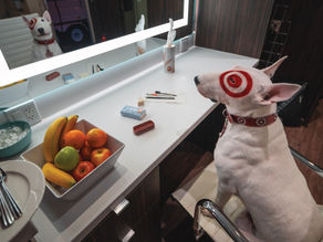 People pay more attention to ads when they feature dogs and cats