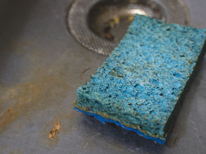 The surprising reason your kitchen sponge is so disgusting