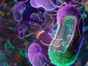 Transgenes carried by bacteria in the gut could reverse Type 2 diabetes and cancer