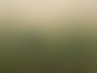 The Great Green Wall Of Africa: Is This The Next Wonder Of The World?