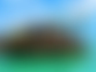 Citizens of Mauritius are cleaning up a major oil spill themselves