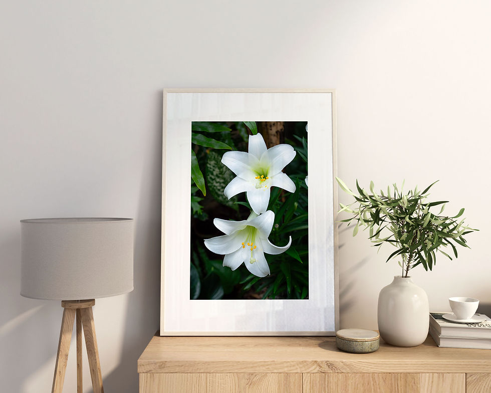 Thumbnail: Dual Easter Lilies